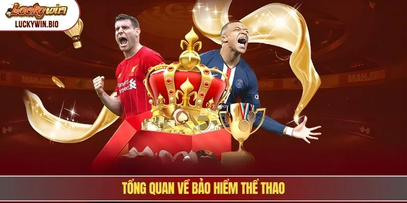 Tổng quan về bảo hiểm thể thao