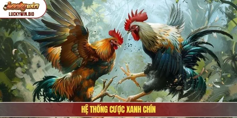 Hệ thống cược xanh chín